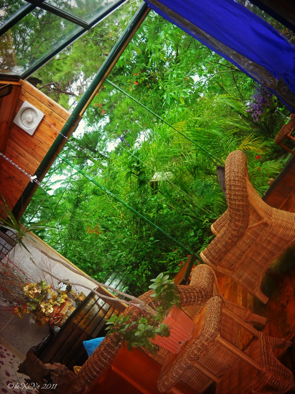 The best part about Red Orange interior