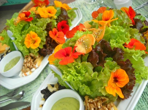 Eve's Garden pretty plates of salad