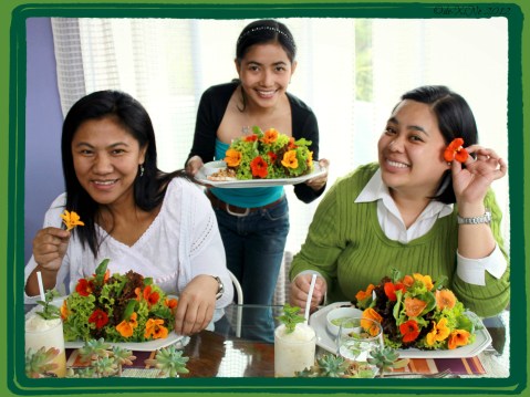 Eve's Garden 2012 Advertisers of the Best, the Prettiest and the Healthiest Salad