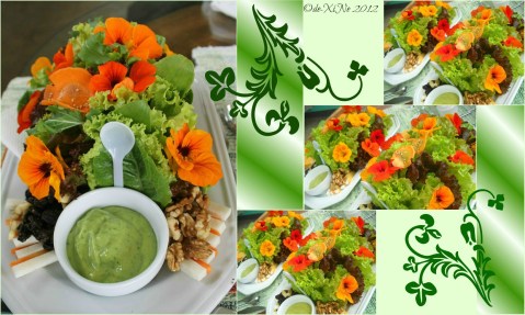 Eve's Garden 2012 The Beautiful, Healthy Salad