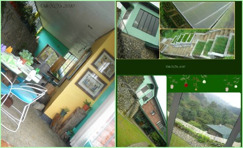 Eve's Garden surroundings