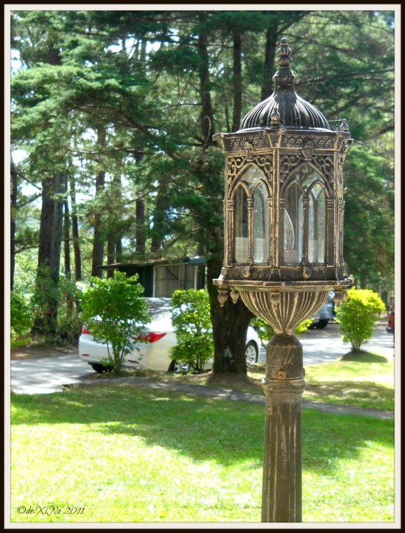 Baguio House of Waffles 2011 Baguio House of Waffles surroundings