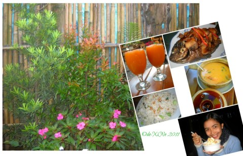 Happy Tummy fried tilapia in tamarind sauce, tom yam gung and happy pizzuki