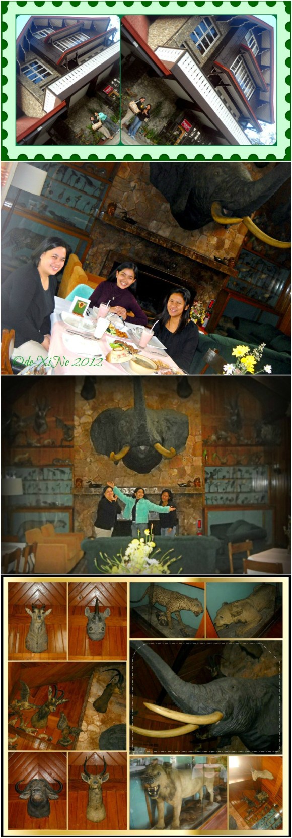 Safari Restaurant 2012 Safari Restaurant 2012