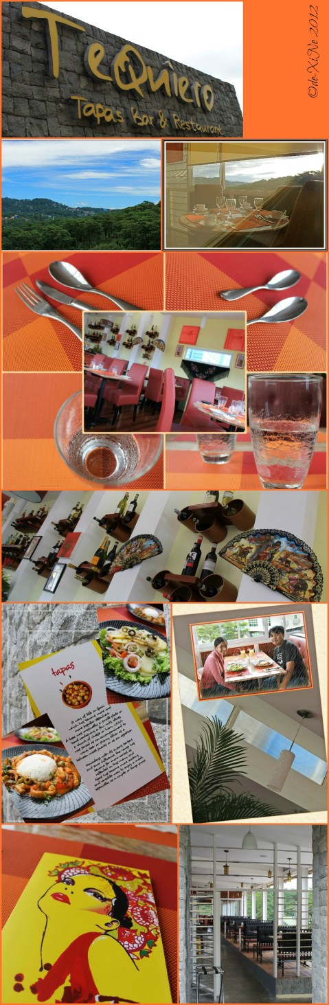 Te Quiero Tapas Bar and Restaurant scene