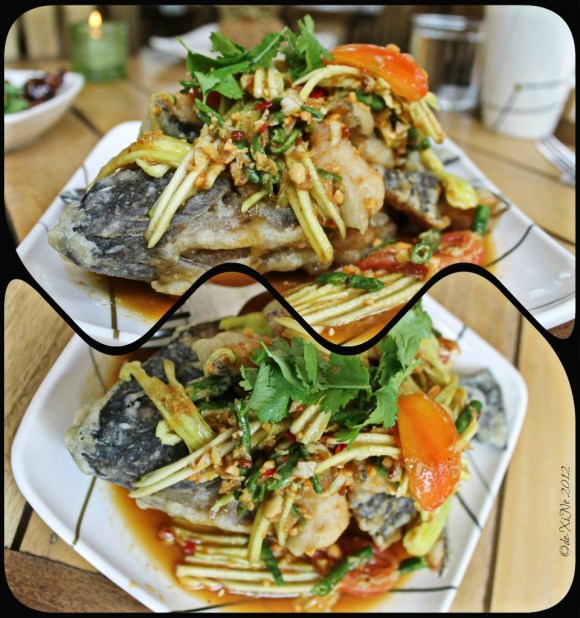 Baguio Chef's Home Asian Fusion Cuisine 2012 Tilapia with Thai Mango Salad
