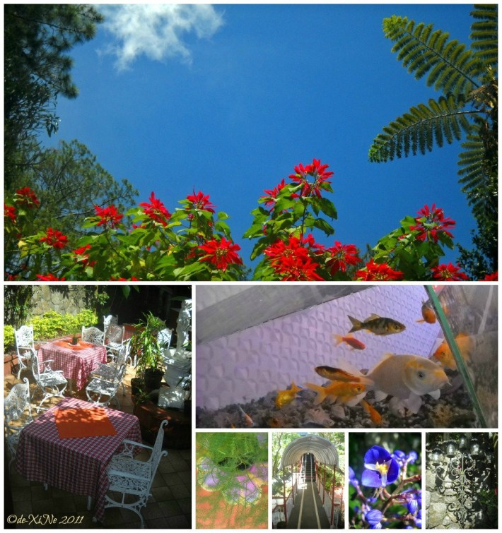 Villa La Maja surroundings