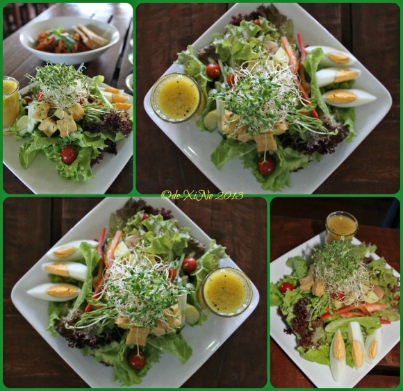 Health 100 gado gado salad