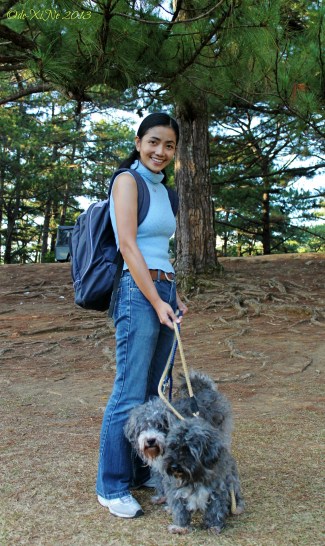 Health 100 powered to walk the dogs