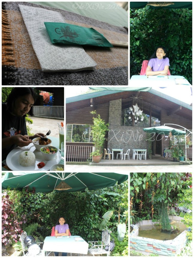 dining at Chaya Japanese Restaurant yard