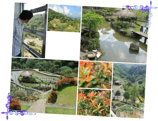 BenCab Museum the garden, the pond and some of the things beyond that