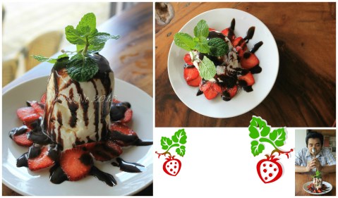 Cafe Sabel at BenCab Museum volcano ice cream with fresh strawberries and chocolate lava