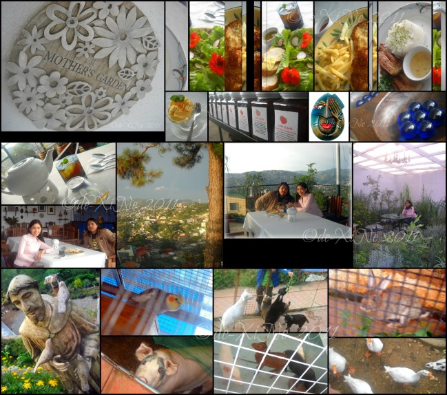 Mother's Garden and Cafe Baguio 2011 Mother's Garden and Cafe Baguio before the overhaul