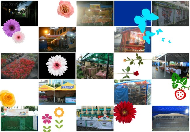 Baguio Panagbenga Session Road in Bloom