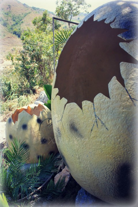 Dinosaurs Island Baguio hatched eggs