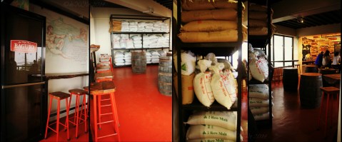 inside Baguio Craft Brewery 2014