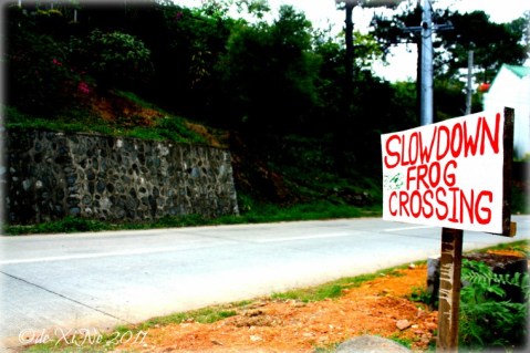 Baguio 888 Tiptop Arca's Yard slow down frog crossing sign