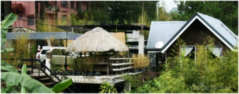 Baguio 888 Tiptop Arca's Yard 2011