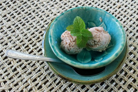 Baguio 777 Tiptop Arca's Yard 2014 homemade rhubarb ice cream 