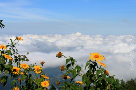 sea of clouds view from Metro Baguio Mount Kabuyao Santo Tomas