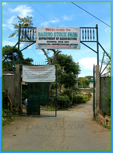 the gate to Baguio Dairy Farm aka Baguio Stock Farm 
