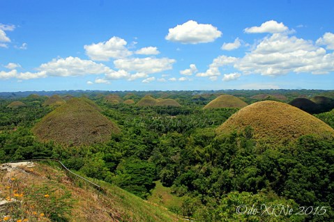 Bohol Chocolate Hills
