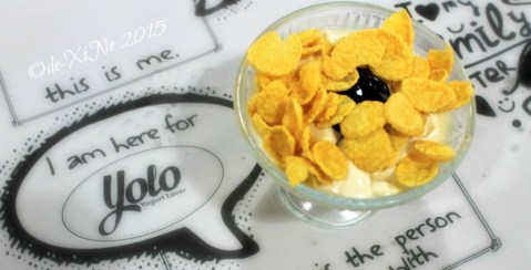 Baguio Calajo Foodhouse YOLO yogurt 2015