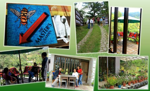  hanging out at metro Baguio Masters Garden
