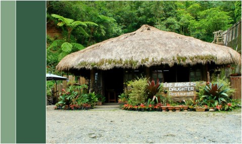 2015-10-13 Baguio Farmer's Daughter Restaurant (1)