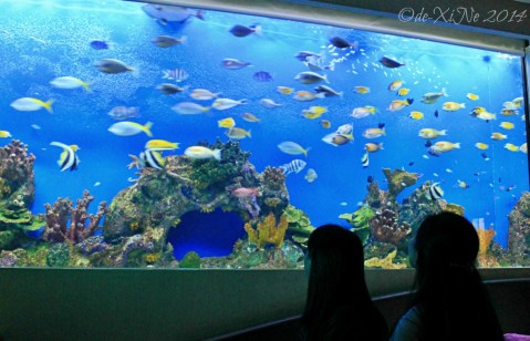 2014-06-01to02 Manila H2O Hotel