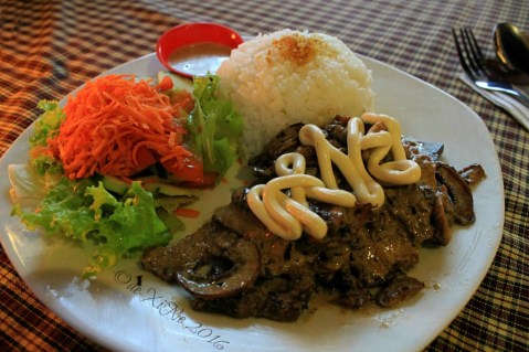 2016-03-21 Baguio Roadhouse Barn Restaurant beef Stroganoff with salad and rice