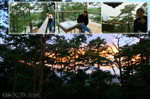 Baguio The Outlook Steak and Grill at Grand Sierra Pines Hotel the treed view